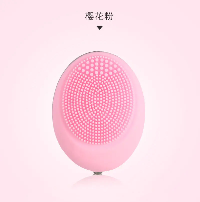 Facial Cleansing Brush and Beauty Device